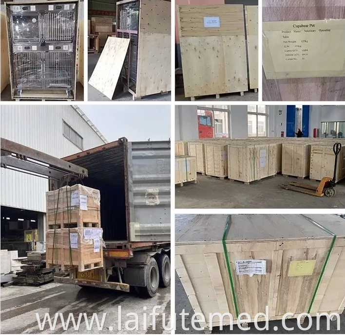 Vet Animal Stainless Steel ICU Oxygen Dog Cage